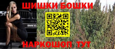 гидропоника Гусев