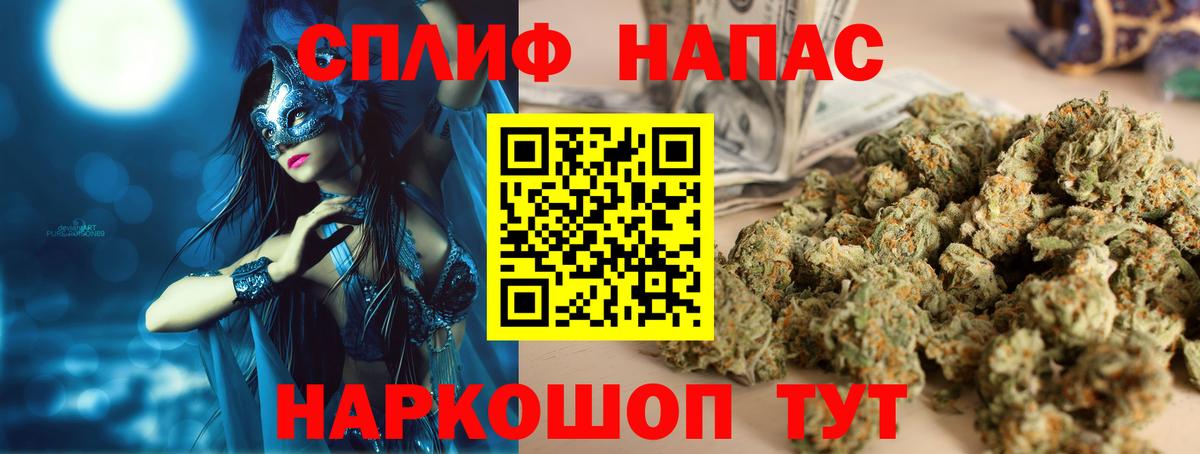 APVP Дзержинский
